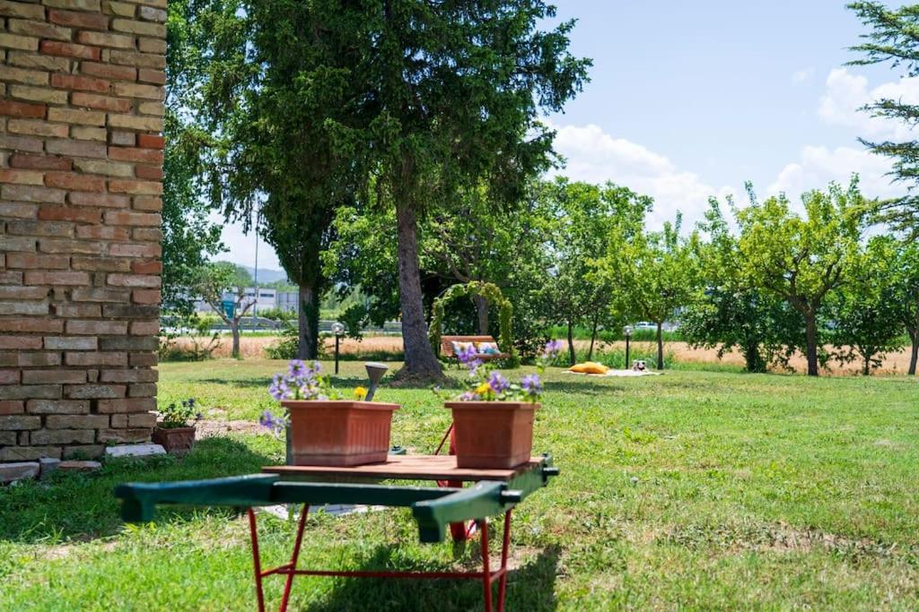 Casale Passalacqua Pesaro By Yohome La Torraccia Buitenkant foto